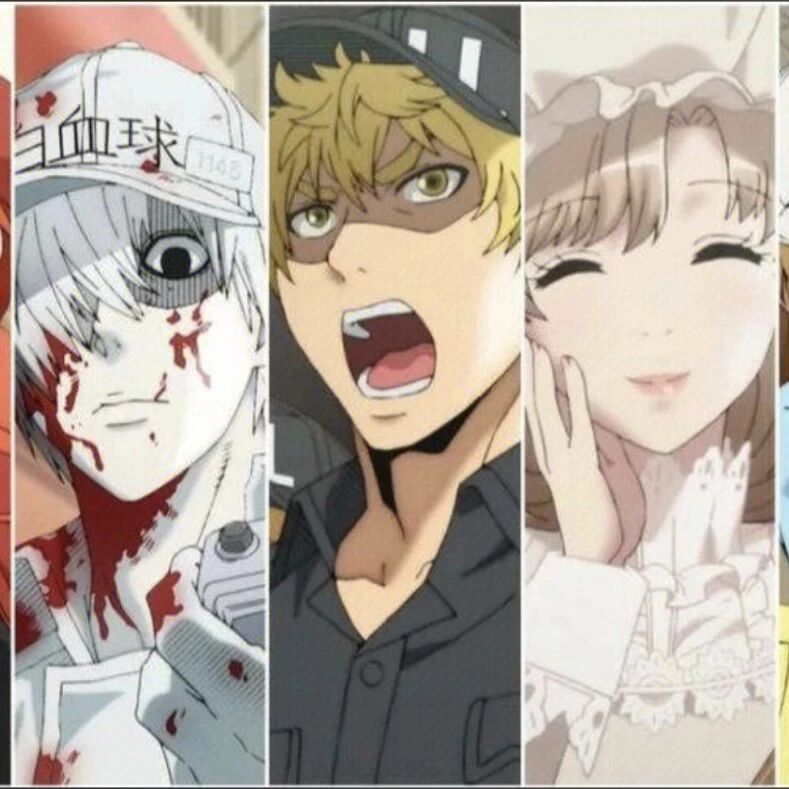 原来我们身体每天都这么拼：献给大宝二宝和所有正在长大的孩子