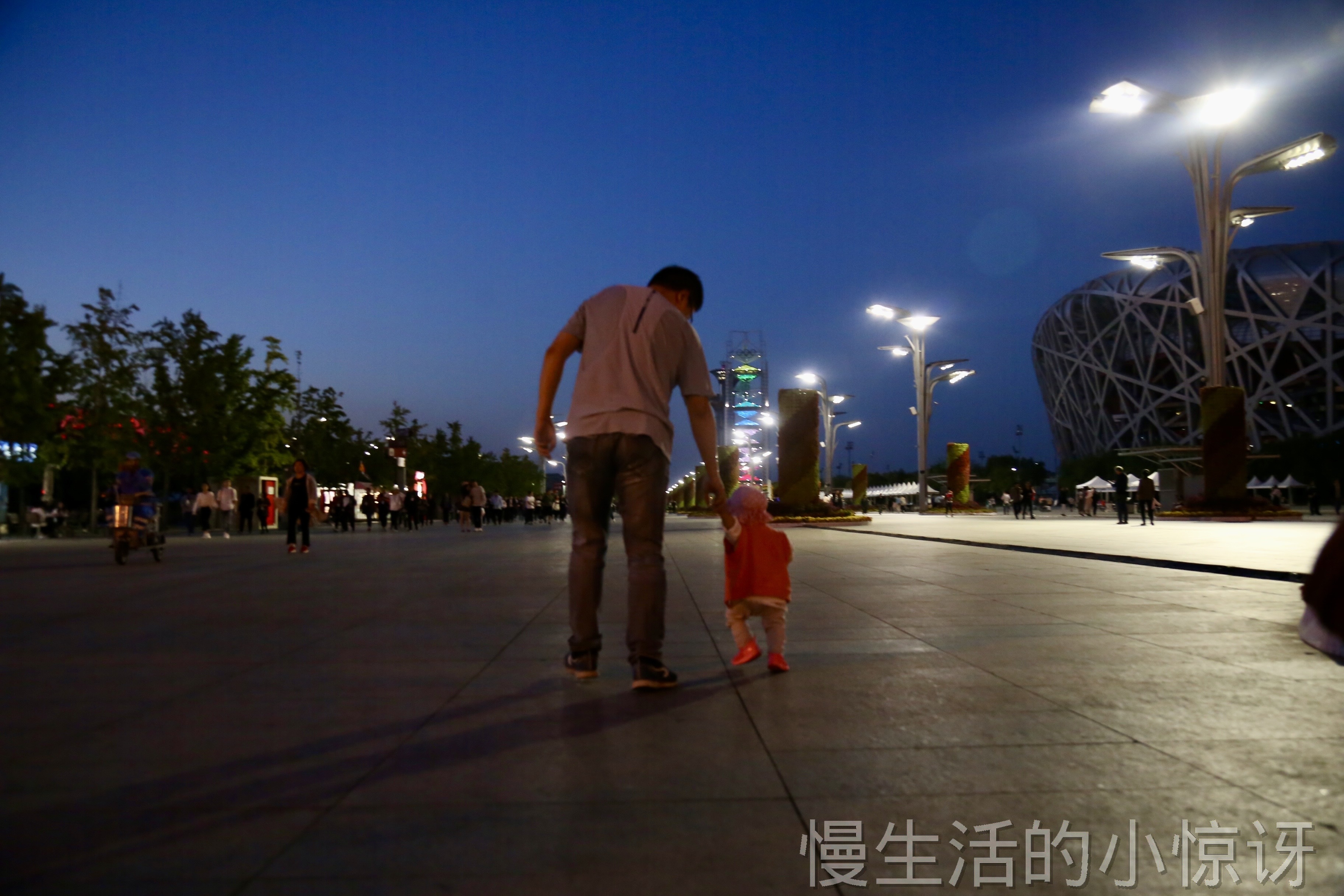 父子夜游鸟巢广场