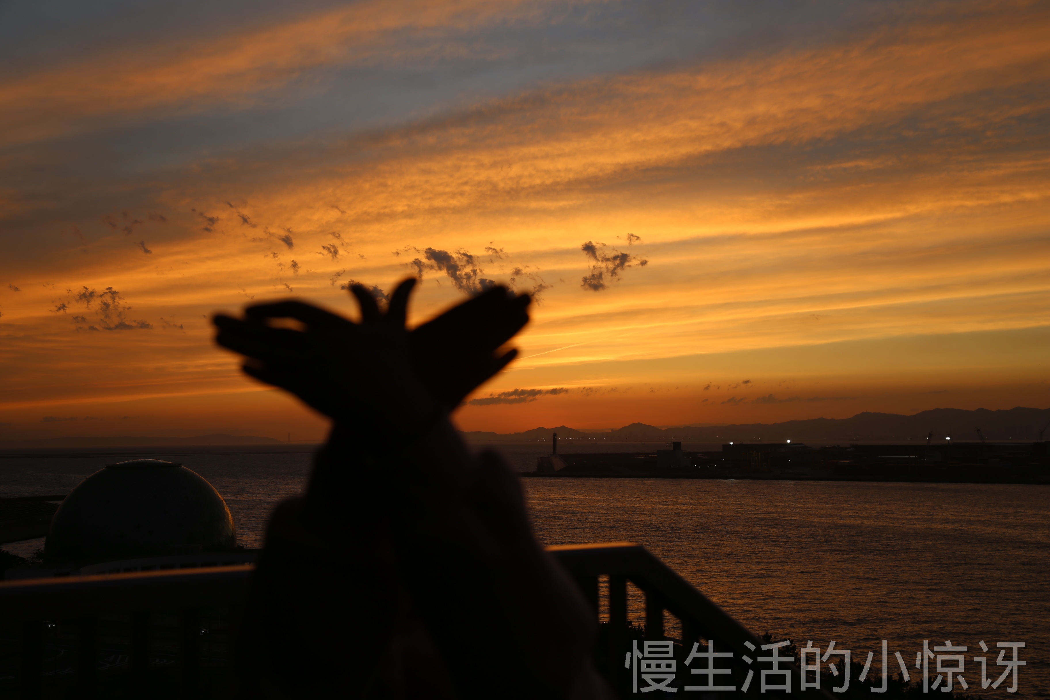 落日余晖中的剪影